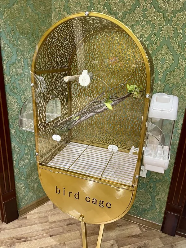 Qafas gold клетка — фото 3
