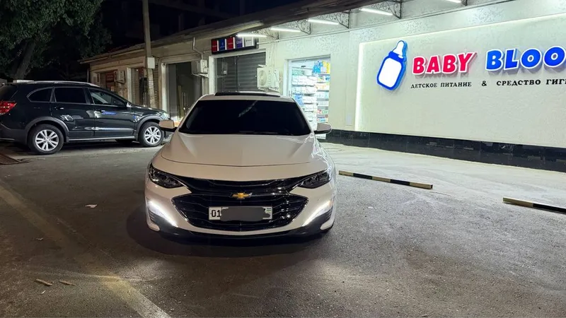 Malibu Primer 2020 1 Malibu Primer 2020 1