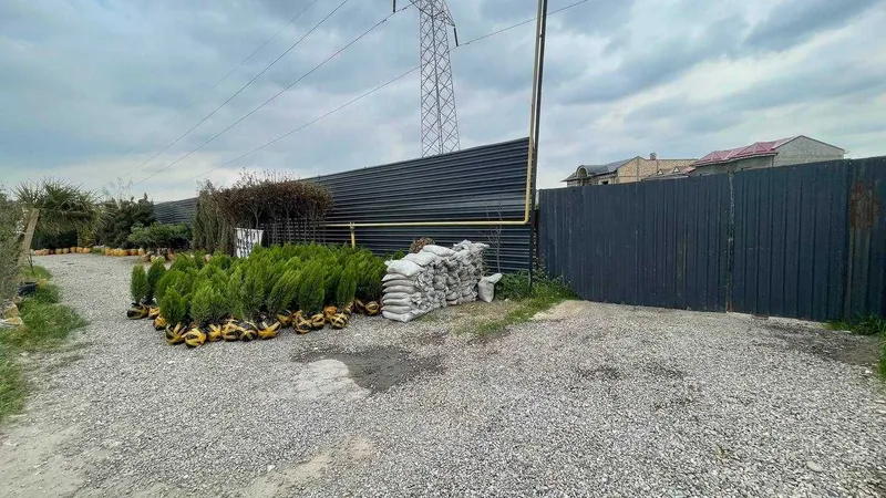 Qoyliq 7 massivda 35 sotix betonka joy arendaga (katta yo‘l bo‘yida) 4