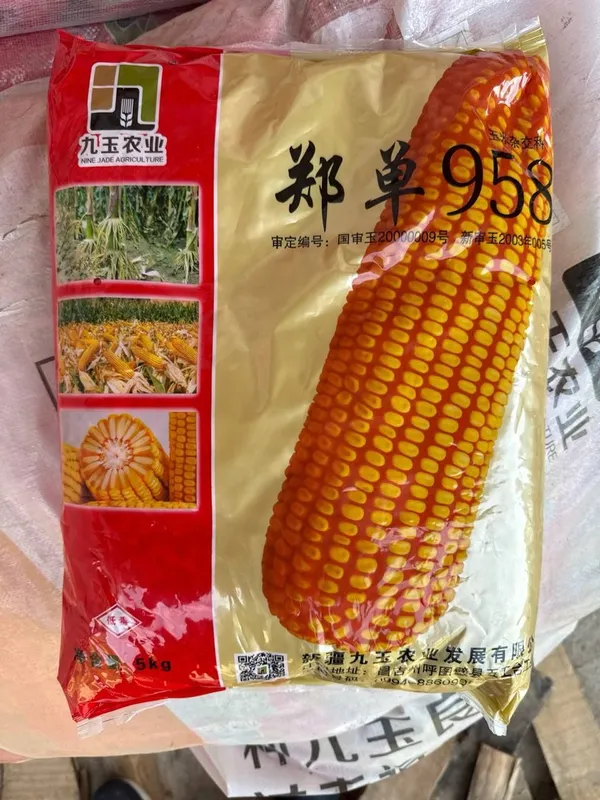 Makkajo'xori YONGUN