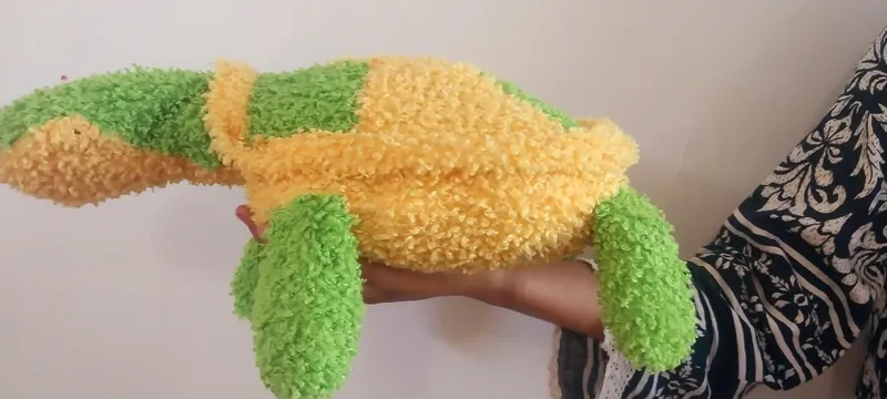 Toshbaqacha Toshbaqacha