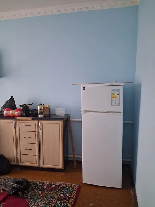 Holadelnik Nomi Snayke Holadelnik Nomi Snayke