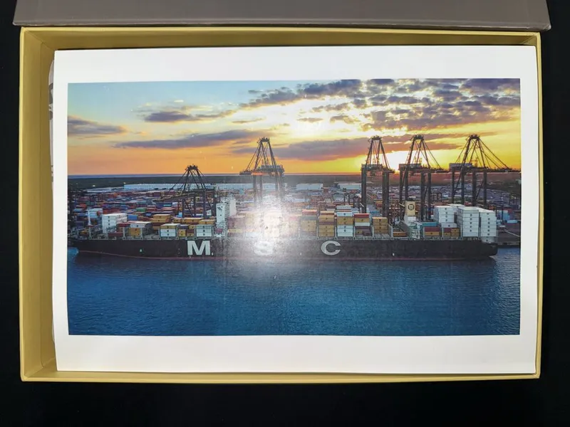 Фирменный деревянный пазл MSC (эксклюзивный подарок, новый) — фото 1