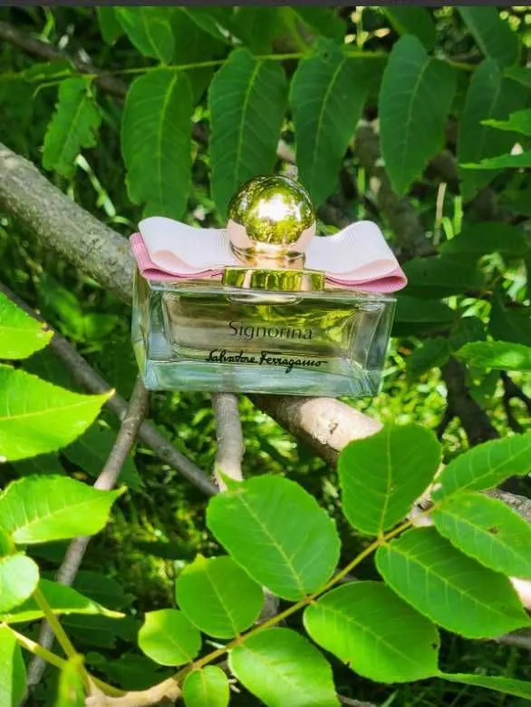 парфюм Signorina Salvatore Ferragamo Италия оригинал парфюм Signorina Salvatore Ferragamo Италия оригинал
