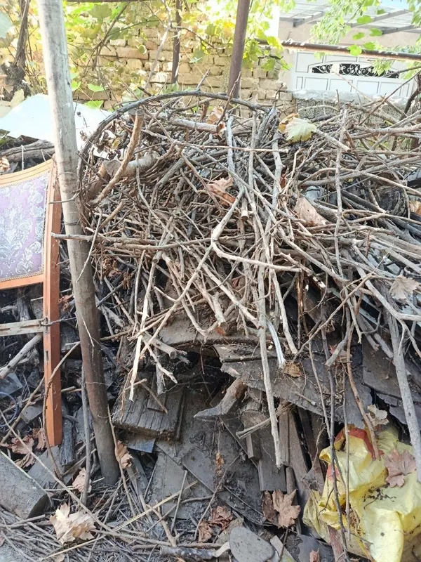 Дрова бесплатно забирайте 1