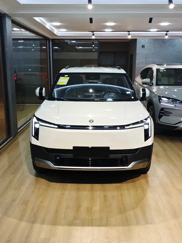 Dongfeng Nammi 06 Rasmiy — фото 1