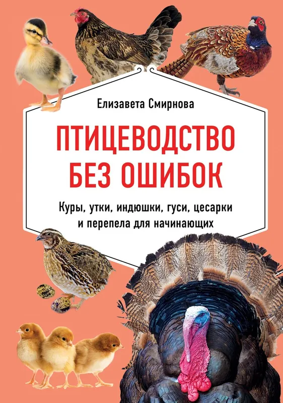 Parrandachilik sirlari to'grisida — фото 2