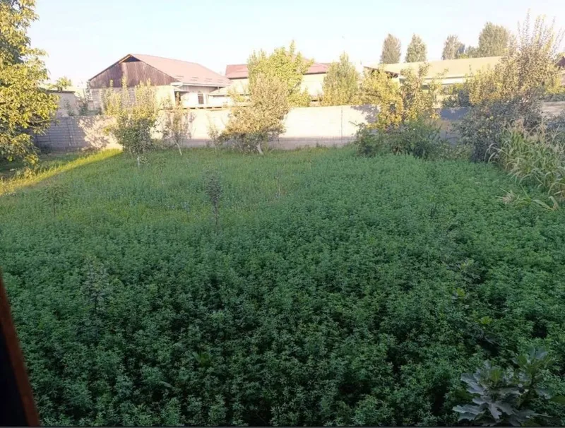 Продается земля 21 сот в элитной махалле 61м фасад Мирзо-Улугбекский р — фото 2
