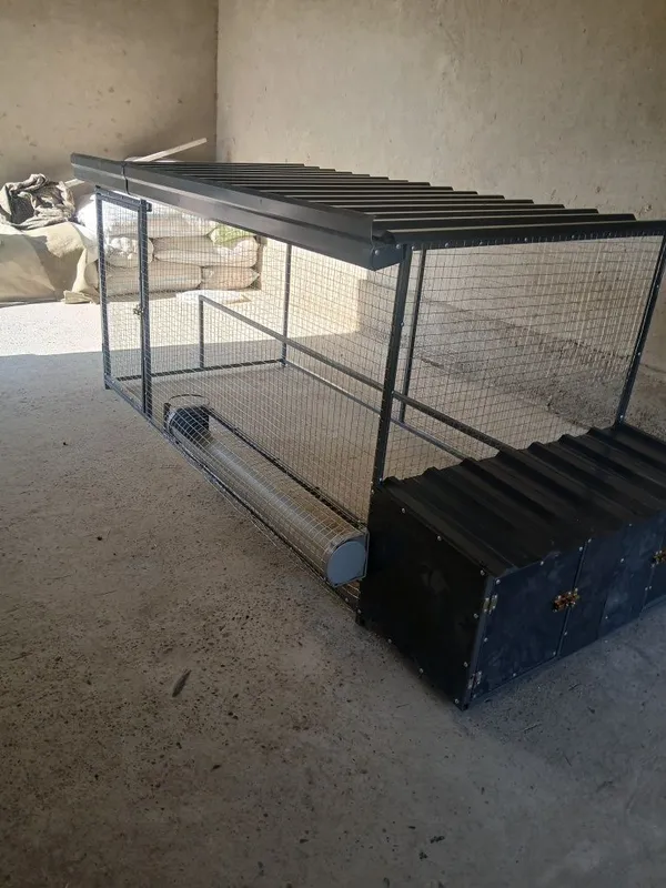 Tavuq katak sotuvda 2 Tavuq katak sotuvda 2