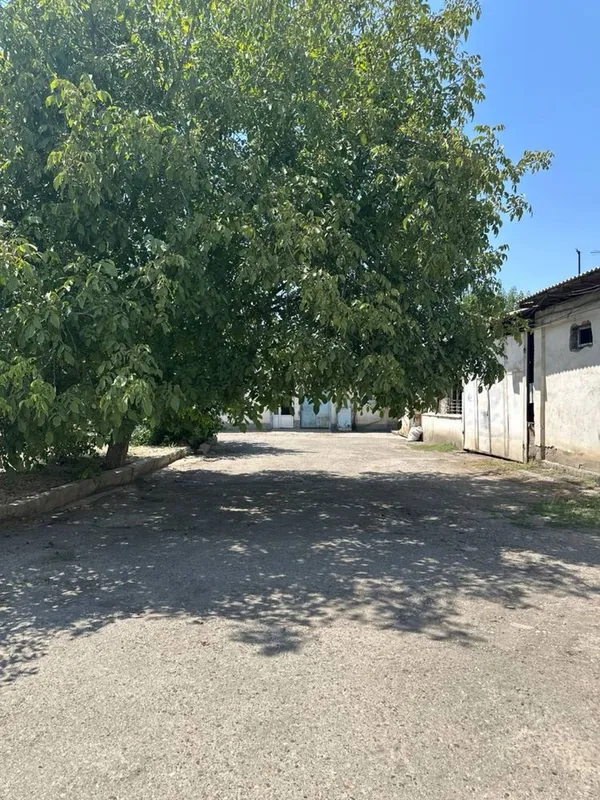 Сдаю в аренду нежилое помещение 2