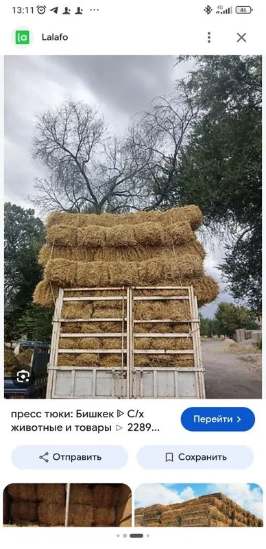 Сомон прес даставка 2