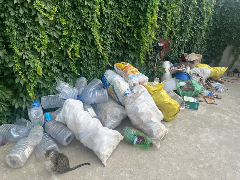 boklashka sotilad oladiganla bosa