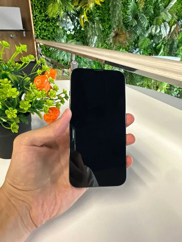 iPhone 13 Pro 256gb 77% 2