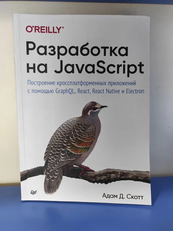 Книга по програмированию, Разработка на JavaScript