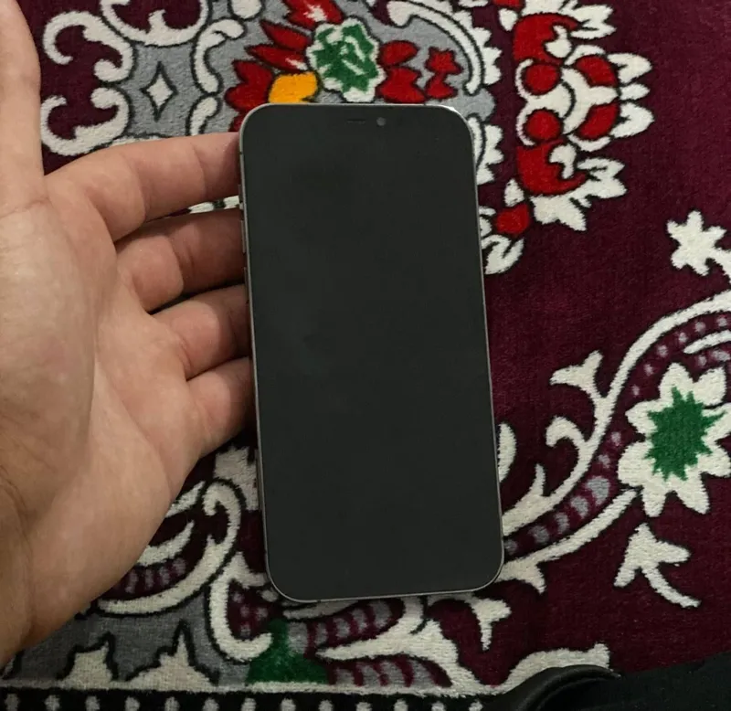 iphone 12 pro 2