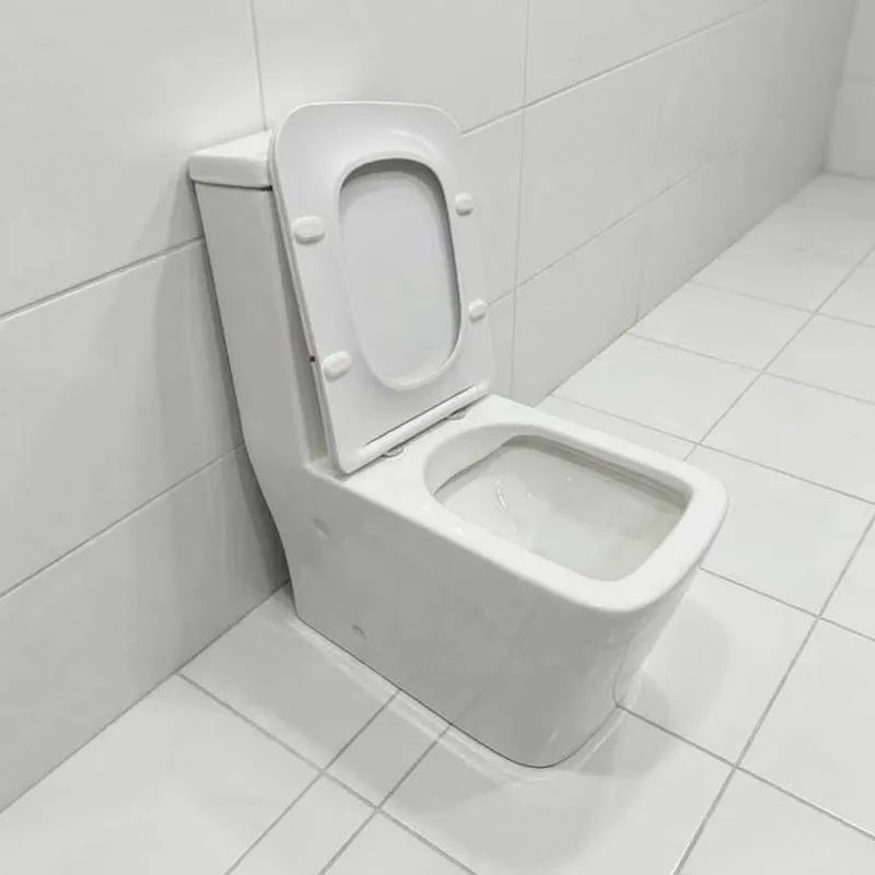 Унитаз литой со смывом Rimless Emerich 223