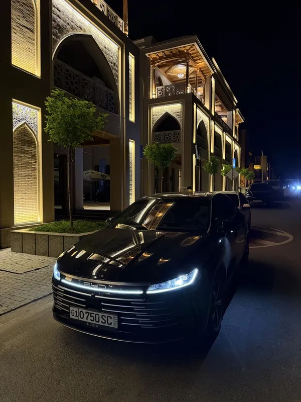 Byd Chazor champion 120 flagship 2024 NFS kartali Byd Chazor champion 120 flagship 2024 NFS kartali