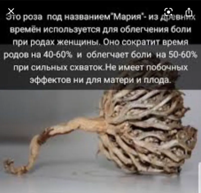 Мебелстиральна,Все в хорошем и отличном состоянии — фото 8