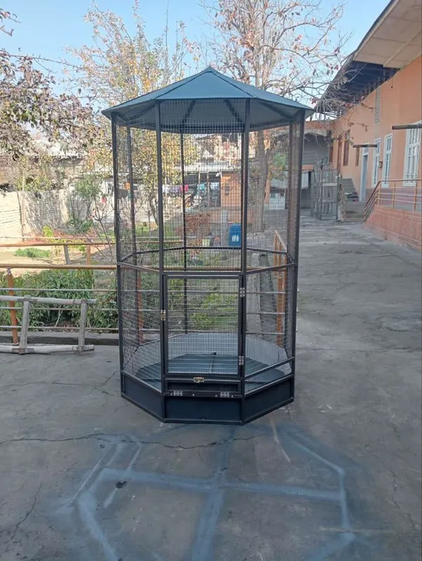 qafaslar valer 2 qafaslar valer 2