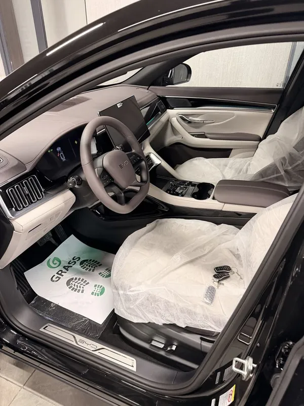 Byd Champion Smart — фото 3
