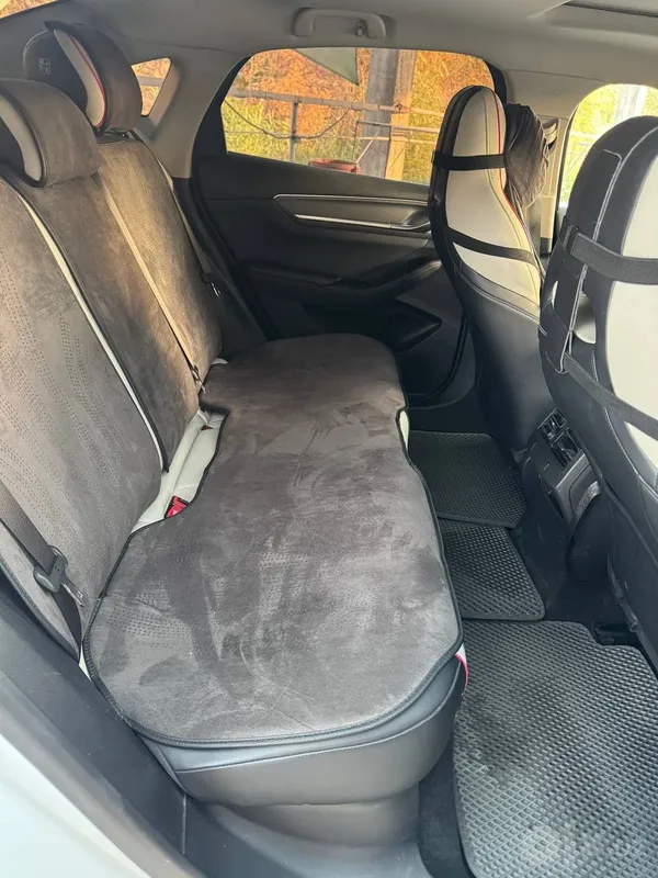 Byd Chazor gibrid 4 Byd Chazor gibrid 4