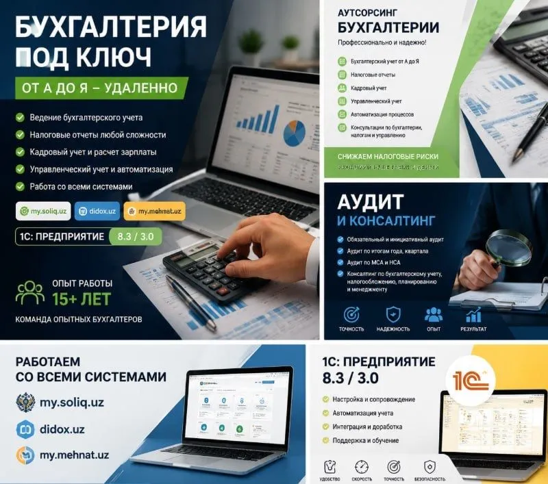 Профессиональные бухгалтерские услуги Профессиональные бухгалтерские услуги