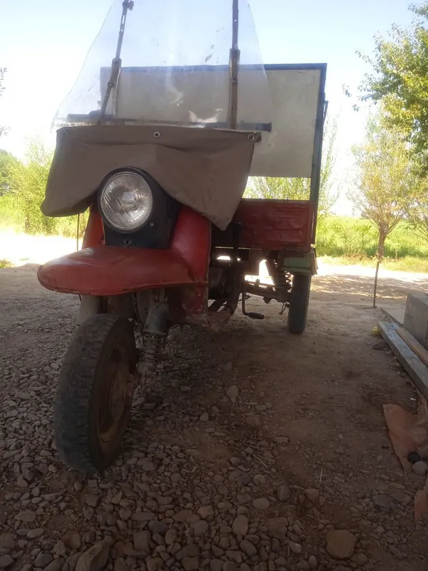 Muravey yahwi holatda