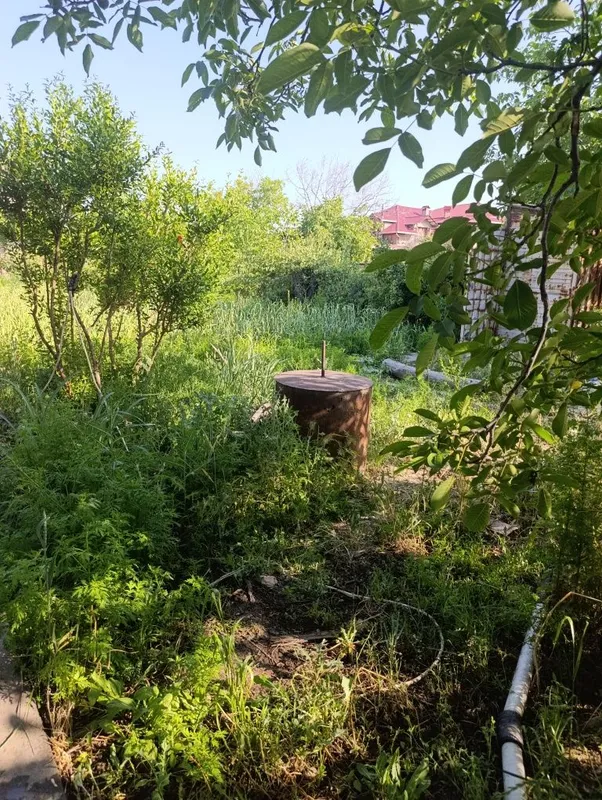 Дача янги Узбекистон — фото 5