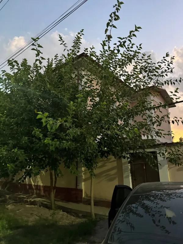 Arendaga food city tarafda kotej 1