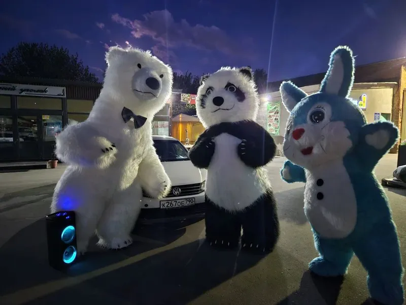 айик куён пандалар