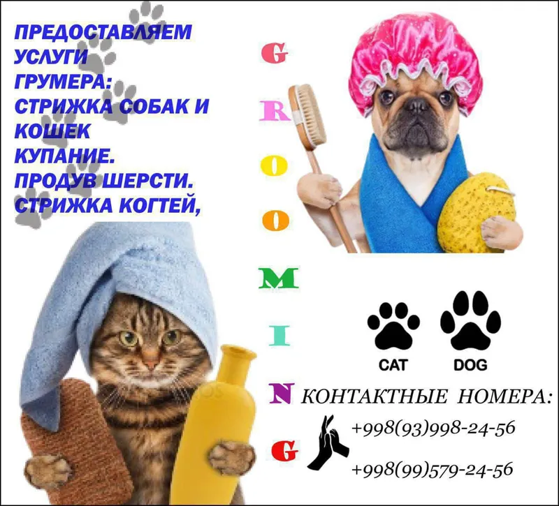 груминг для животных груминг для животных