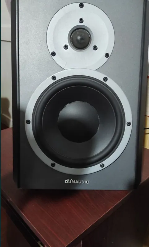 Dynaudio dbm 50 студийный монитор