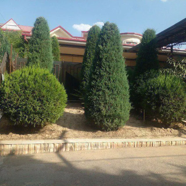 bogʻbon xizmati 3