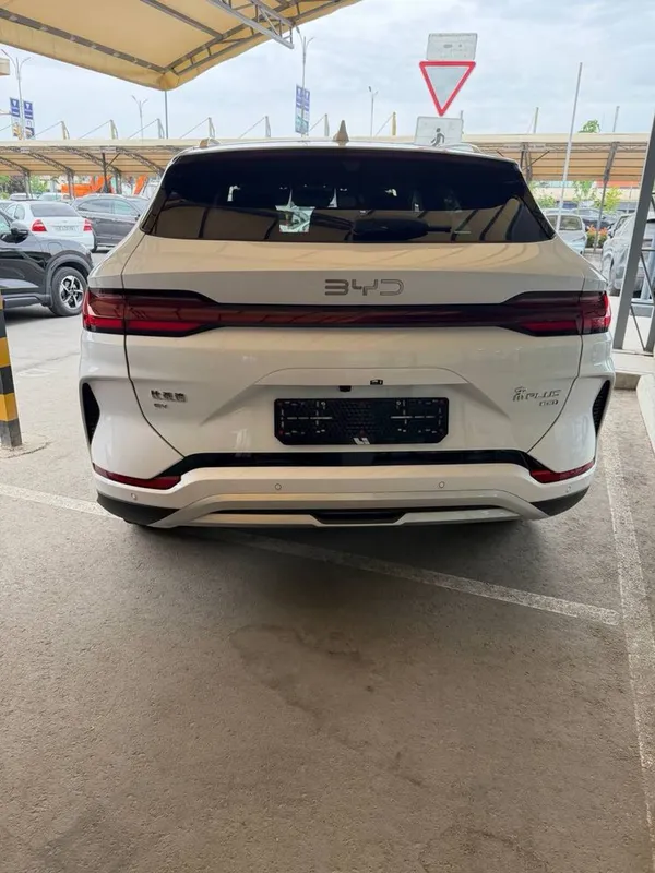 byd chempion smart — фото 4