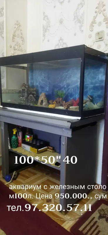 Аквариум.100л.стол,аксессуары. Аквариум.100л.стол,аксессуары.