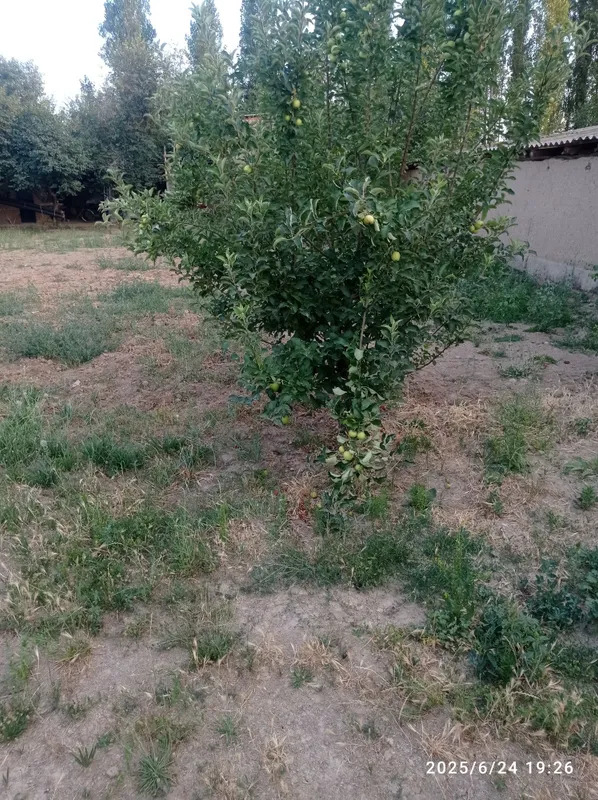 Продаю участок.. — фото 1