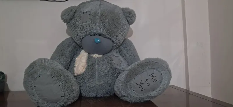 Teddy ayiq yumshoq oyinchoq 1 metr katalikda narxi kelishiladi