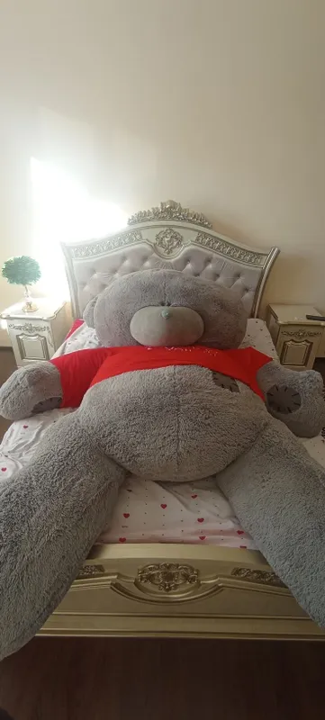 Eng katta arginal teddy ayigʻi sotiladi