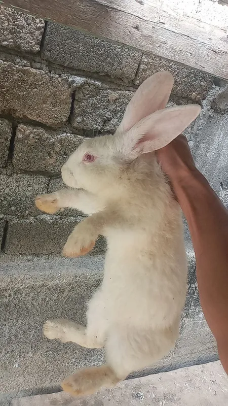Sjdbdiwnsj sisbsjsn Sjdbdiwnsj sisbsjsn
