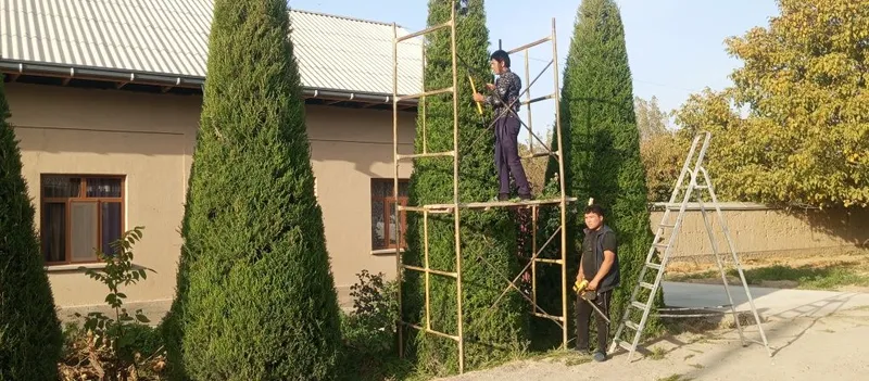Gazon xar xil kóchatlar mavjut — фото 1