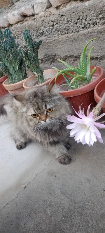 Namangan Shahar Namangan Shahar
