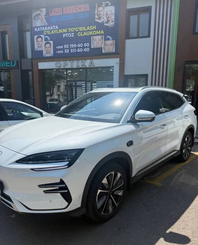 BYD Champion Smart 1 BYD Champion Smart 1