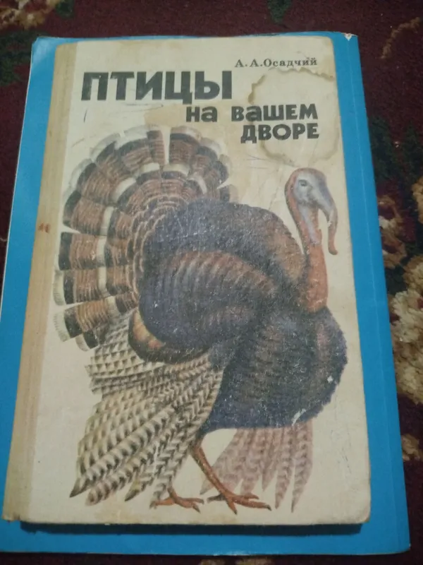 rus tili kitob
