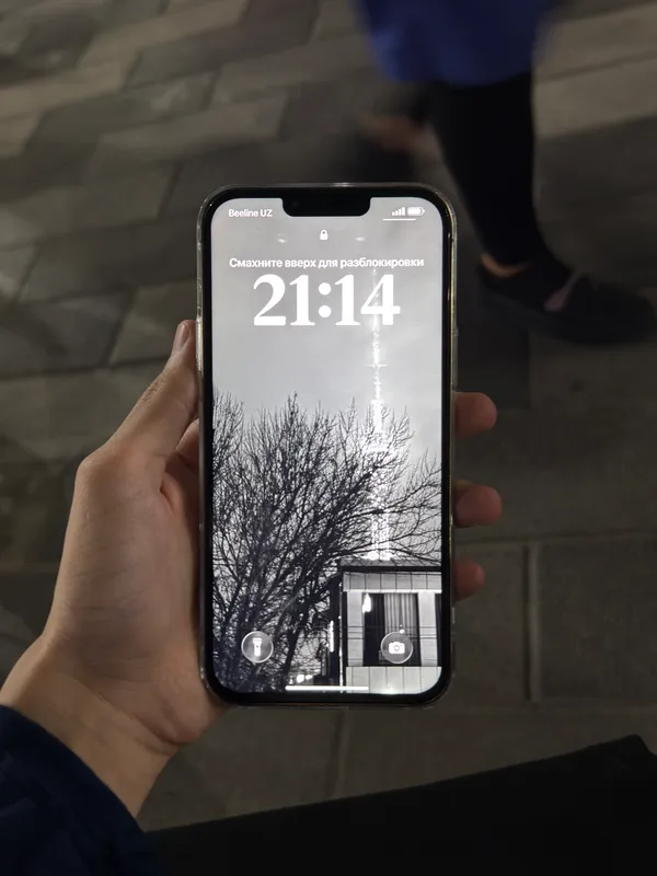 Iphone 13 pro max 4