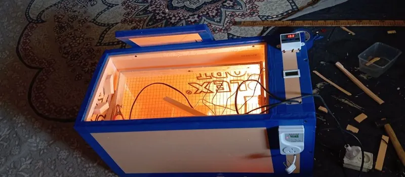 Inkubator zakasga 50 talik Inkubator zakasga 50 talik