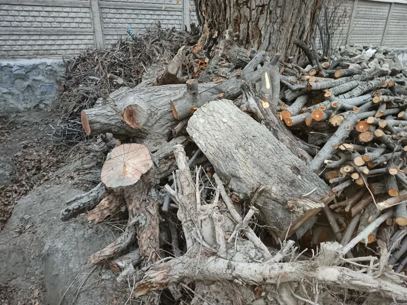 Bir ISUZU yuk moshin o'tin va kunda bor. Narxi 3 mln (bo'lishi shu). — фото 2