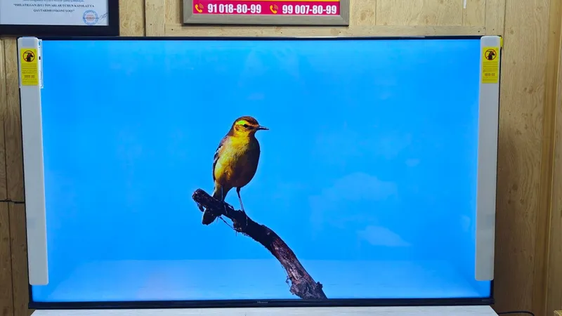 Телевизор Hisense 55A63H — фото 1