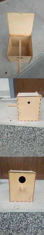 Qushlar uchun uylar 4