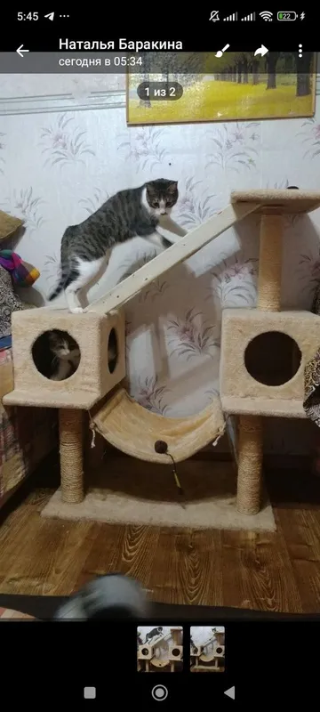 Котодомик когтеточка лежанка для 4х и более кошек — фото 2