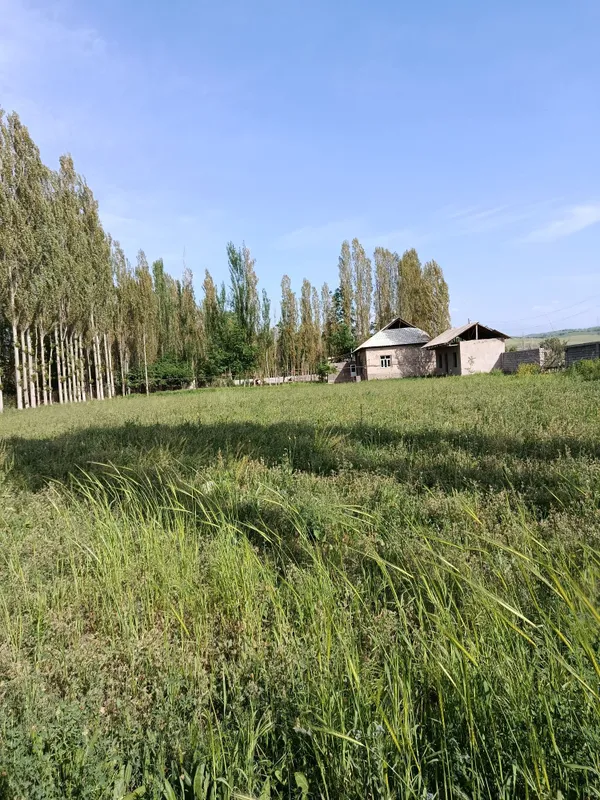 25 соток участок срочно — фото 3